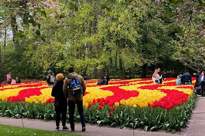 Private Day Tour to Keukenhof Gardens - from Amsterdam/Rotterdam - Why this private Keukenhof trip works