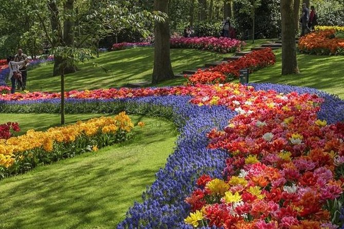 Private Day Tour to Keukenhof Gardens - from Amsterdam/Rotterdam - Entering Keukenhof with a guide first