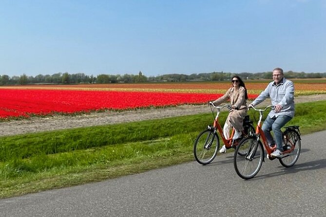 Private Day Tour to Keukenhof Gardens - from Amsterdam/Rotterdam - What the private format changes