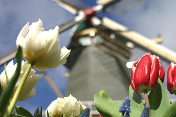 Private Day Tour to Keukenhof Gardens - from Amsterdam/Rotterdam - Who should book this day trip?
