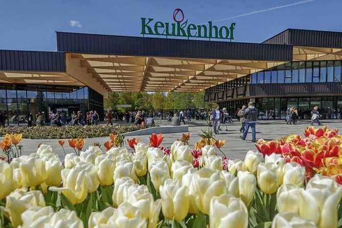 Private Day Tour to Keukenhof Gardens - from Amsterdam/Rotterdam - From Amsterdam to the South Holland countryside