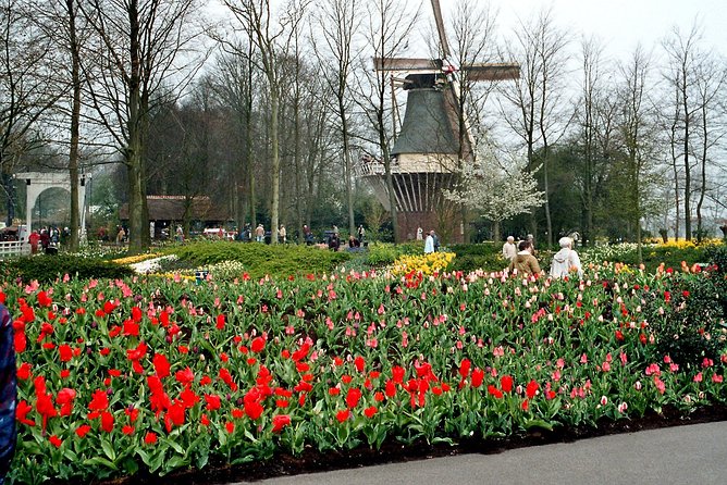 Private Day Trip from Amsterdam to Keukenhof with Entrance Tickets - Why this Keukenhof trip works well from Amsterdam