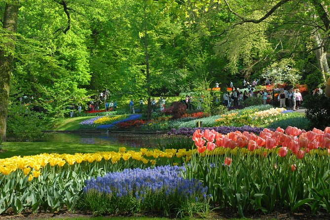Private Day Trip from Amsterdam to Keukenhof with Entrance Tickets - What the private guide adds to the gardens
