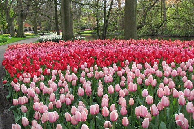 Private Day Trip from Amsterdam to Keukenhof with Entrance Tickets - Is $467.26 per person a fair price?