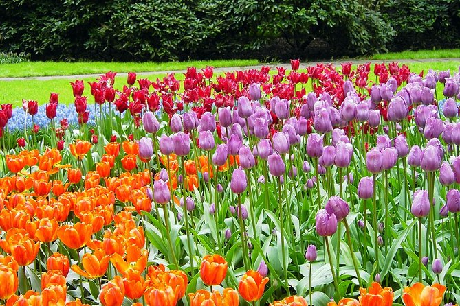 Private Day Trip from Amsterdam to Keukenhof with Entrance Tickets - Entering Keukenhof with about four hours inside