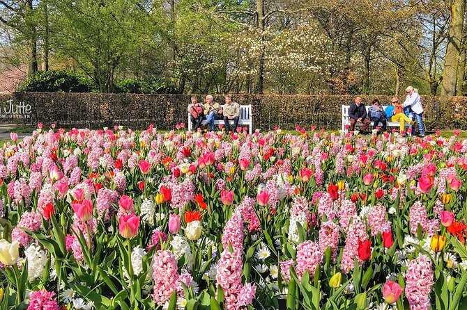 Private Day Trip to Keukenhof Gardens with Entrance Tickets - Leaving Amsterdam by Private Vehicle
