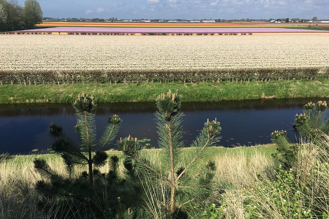 Private daytour from Amsterdam into the Countryside - Who should book this private day?