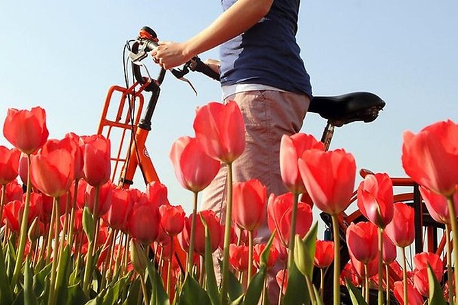 Private Guided Full-Day Customizable Tour of Holland from Amsterdam - The price and what you are really buying