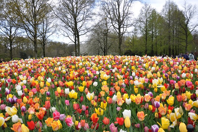 Private Guided Keukenhof Gardens and Zaanse Schans Tour - Why this private Dutch day trip works