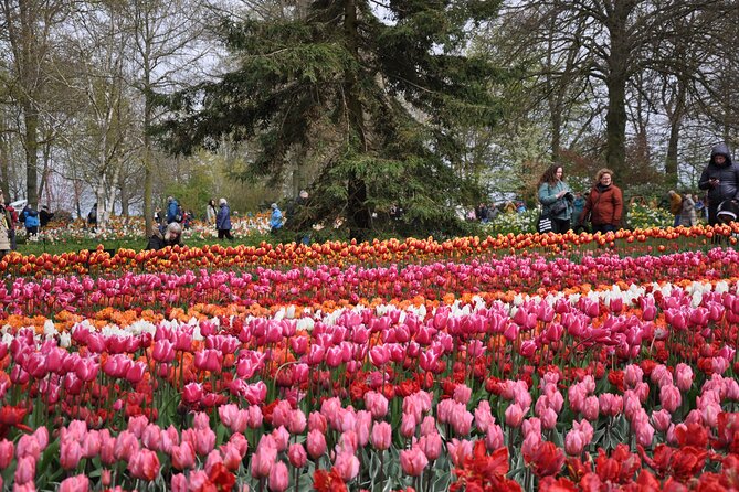 Private Guided Keukenhof Gardens and Zaanse Schans Tour - Cheese, clogs, and the hands-on middle of the morning