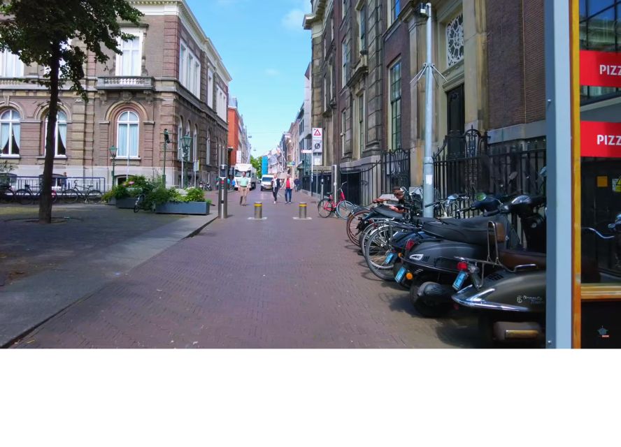 Private half-day Delft and The Hague tour - Weather, walking, and the right pace