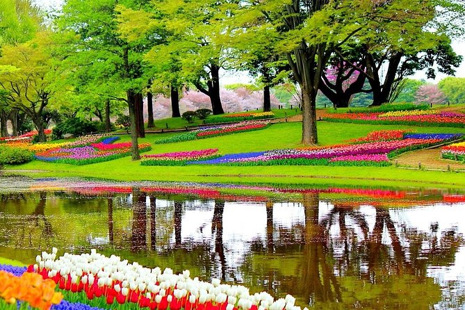 Private Half-Day Trip From Amsterdam to The Tulip Fields in Keukenhof - What your private ride adds