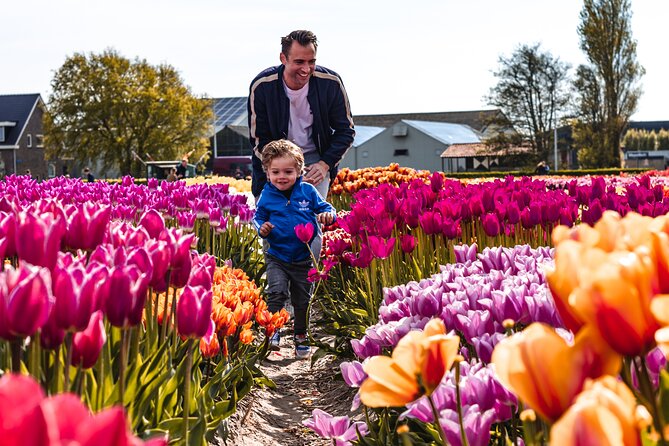 Private Keukenhof Gardens and Tulip Fields Tour from Amsterdam - The private Mercedes transfer and hotel pickup