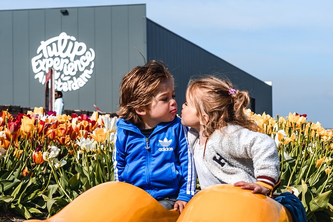 Private Keukenhof Gardens and Tulip Fields Tour from Amsterdam - Who will get the most from this outing?