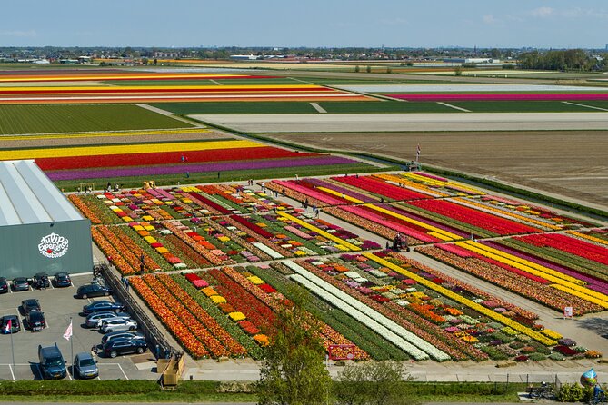 Private Keukenhof, Gardens, Windmills, cheese tour from Amsterdam - Cheese tasting at Jacobs Hoeve
