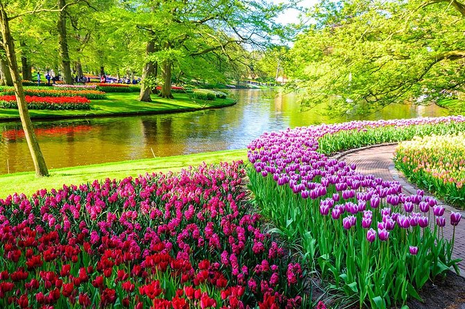 Private Keukenhof Park and Tulip Fields Tour (Skip-The-Line) - Why Keukenhof is worth the spring trip