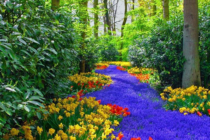 Private Keukenhof Park and Tulip Fields Tour (Skip-The-Line) - Is $360.44 per person a fair price?