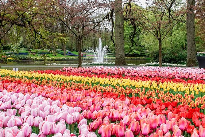Private Keukenhof Park and Tulip Fields Tour (Skip-The-Line) - Seeing the Bollenstreek beyond the park