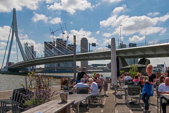 Private Tour: Rotterdam Walking Tour Including Harbor Cruise - Museumpark, where the walk turns toward art and design