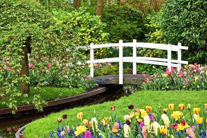 Private Tour to Tulips, Keukenhof, Windmills & Cheese Farm - The schedule needs a careful look