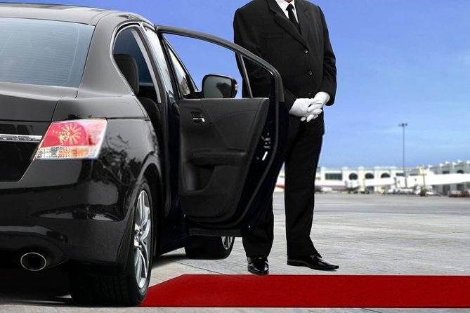 Private Transfer from Amsterdam Airport Schiphol to The Hague - Who gets the best value from this transfer