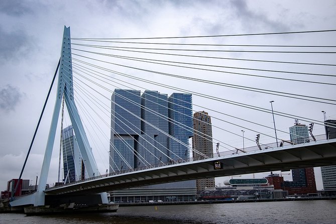 Private Transfer from Amsterdam city center to Rotterdam - Pickup at your Amsterdam hotel