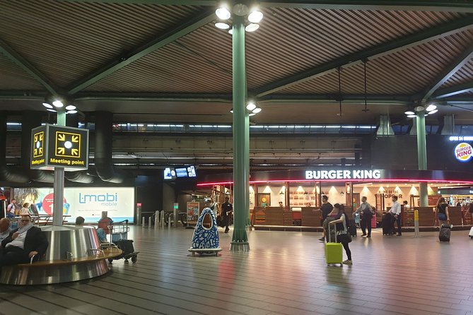 Private Transfer from Schiphol Airport to Rotterdam - What the one-hour ride is like