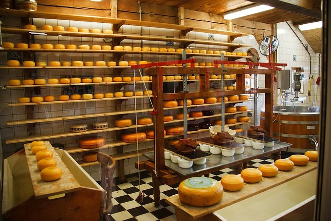 Private Tulip Fields, Windmills and Cheese Tour from Amsterdam - Molen De Kat: a rare working paint mill