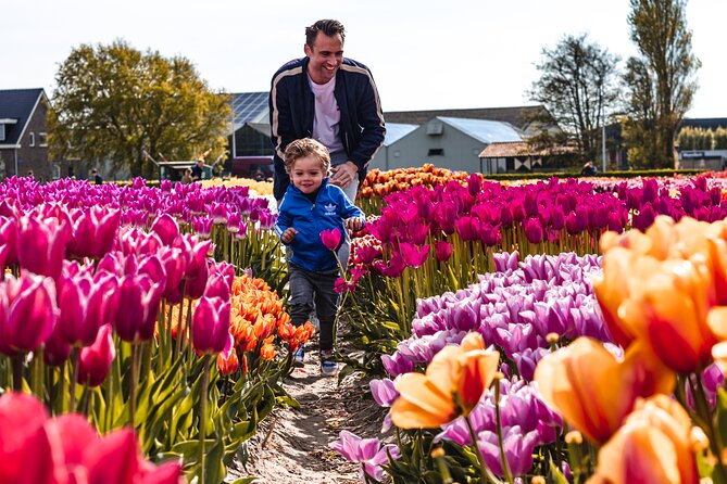 Private Tulip Fields, Windmills and Cheese Tour from Amsterdam - What the $518.06 price really buys