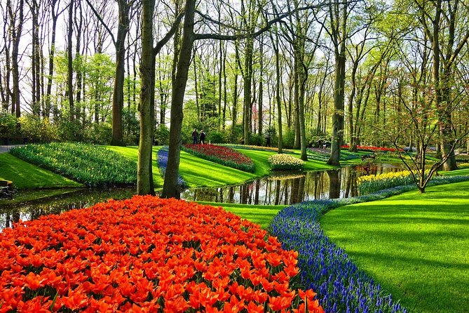 Private Tulip Fields, Windmills and Cheese Tour from Amsterdam - Tulip Experience: the best place to understand the flower