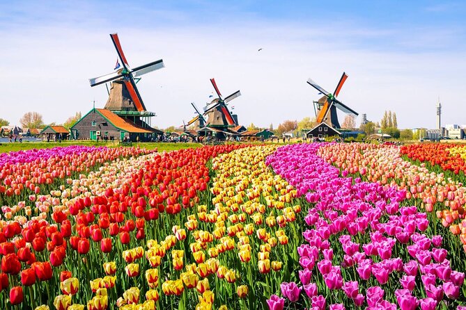 Private Zaanse Schans & Volendam Tour: Windmills, Cheese & Clogs - The guide can make or break the day
