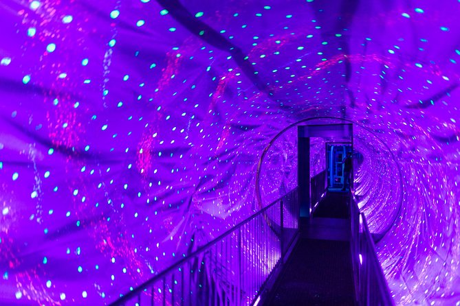 Ripley's Believe It or Not! Amsterdam Admission Ticket - Who will enjoy this most?