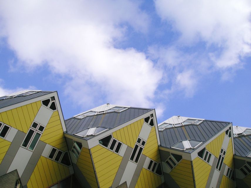 Rotterdam: 2.5-Hour Highlights Bike Tour - Markthal, Rotterdam’s great indoor market