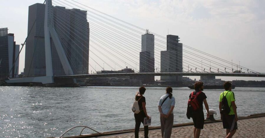 Rotterdam: Architectural Highlights Guided Walking Tour - Markthal and the Cube Houses