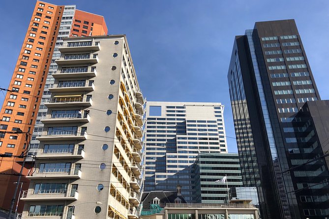 Rotterdam Architecture Highlights Walking Tour - What the guides add