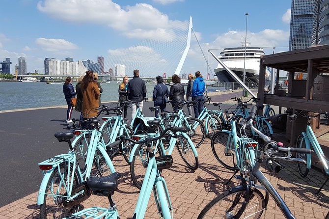 Rotterdam Bike Tour - all the Highlights - Inside Markthal, with details you might miss alone