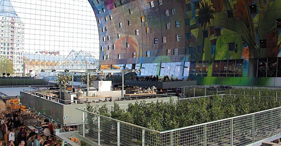 Rotterdam: City Center Walking Tour - Key points to know before you book
