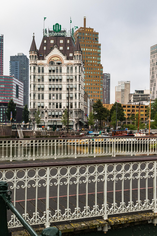 Rotterdam: City Center Walking Tour - Starting under Rotterdam Central Station