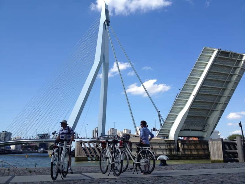 Rotterdam: City Highlights Guided Bike Tour - City Hall, central streets, and everyday Rotterdam