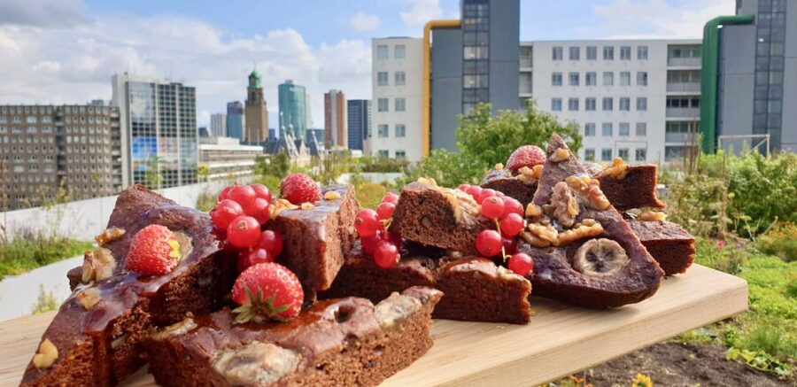 Rotterdam: Food Tour by Bike - Why food is the right way into Rotterdam