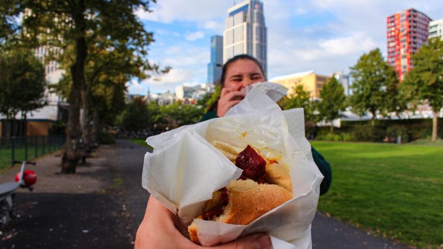 Rotterdam: Guided Food Tour - Oude Haven adds views between bites