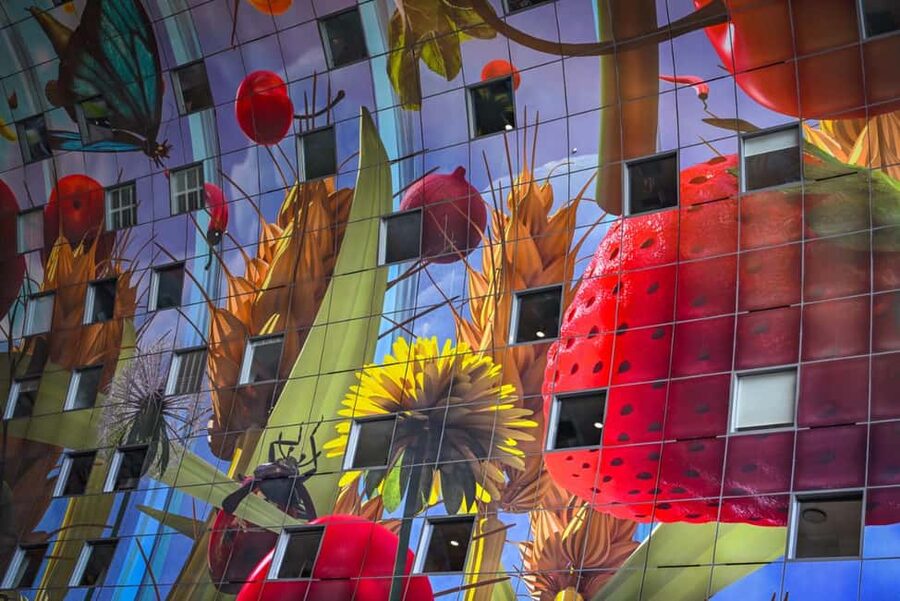 Rotterdam: Highlights & Gems Walking Tour with Dutch Local - Who will enjoy this tour most?
