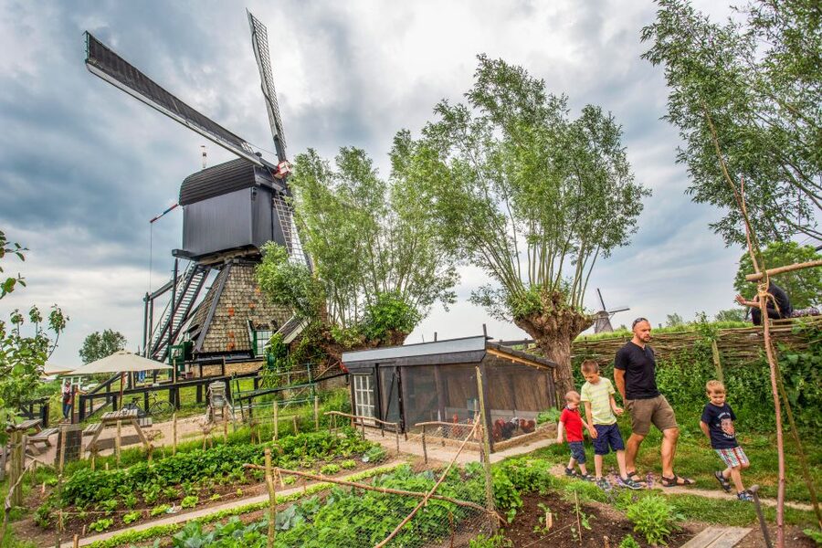 Rotterdam: Kinderdijk UNESCO World Heritage Entry Ticket - The first walk through the windmill village
