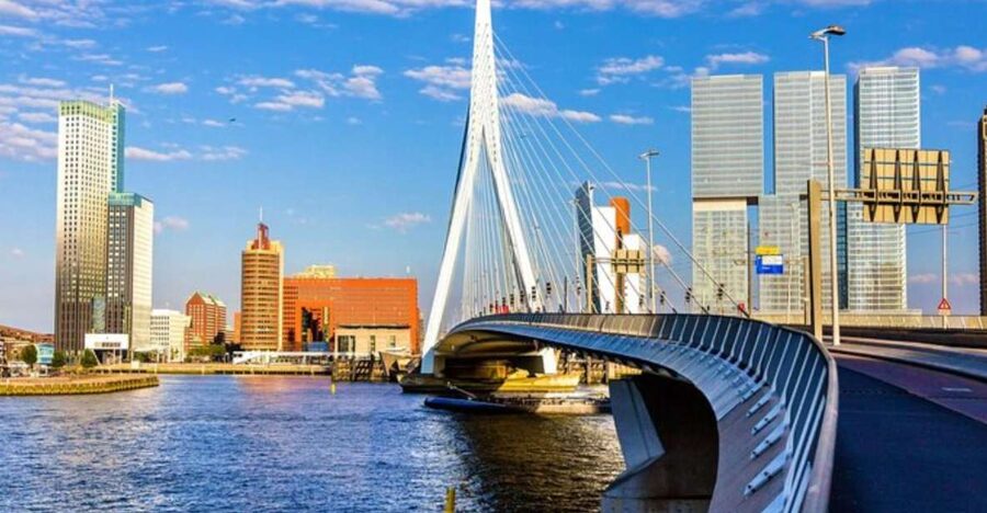 Rotterdam: Private Custom Walking Tour with Local Guide - Why a private walk helps in modern Rotterdam