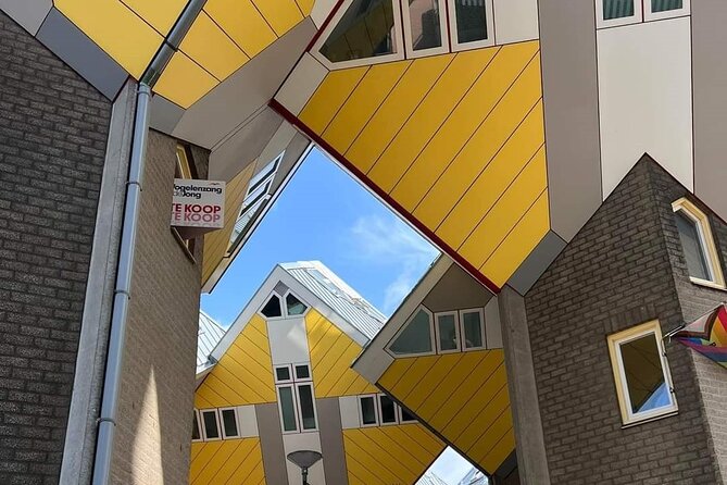 Rotterdam: Private Tour with Local Guide + Cube House visit - Laurenskerk, Erasmus, and the city that survived