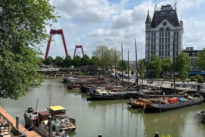 Rotterdam: Private Tour with Local Guide + Cube House visit - How the private guide changes the walk