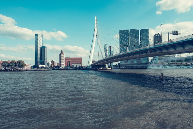 Rotterdam Private Walking Tour with a Local - The dock area and Rotterdam’s working identity