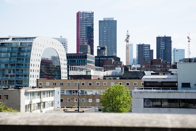 Rotterdam Rooftop tour - Why Rotterdam’s rooftops tell the city’s story