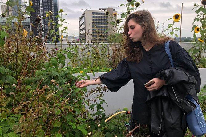 Rotterdam Travel to the Future Walking Tour - Yellow wood, rooftop farms, and public projects