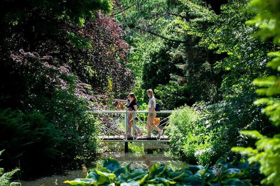 Rotterdam: Trompenburg Botanical Gardens Entry Ticket - A quiet corner of Kralingen